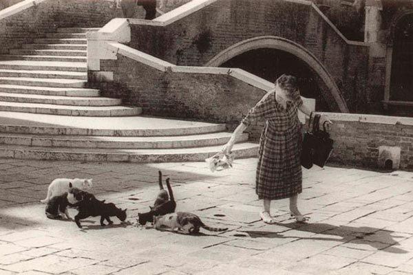 La storia di Dingo 1