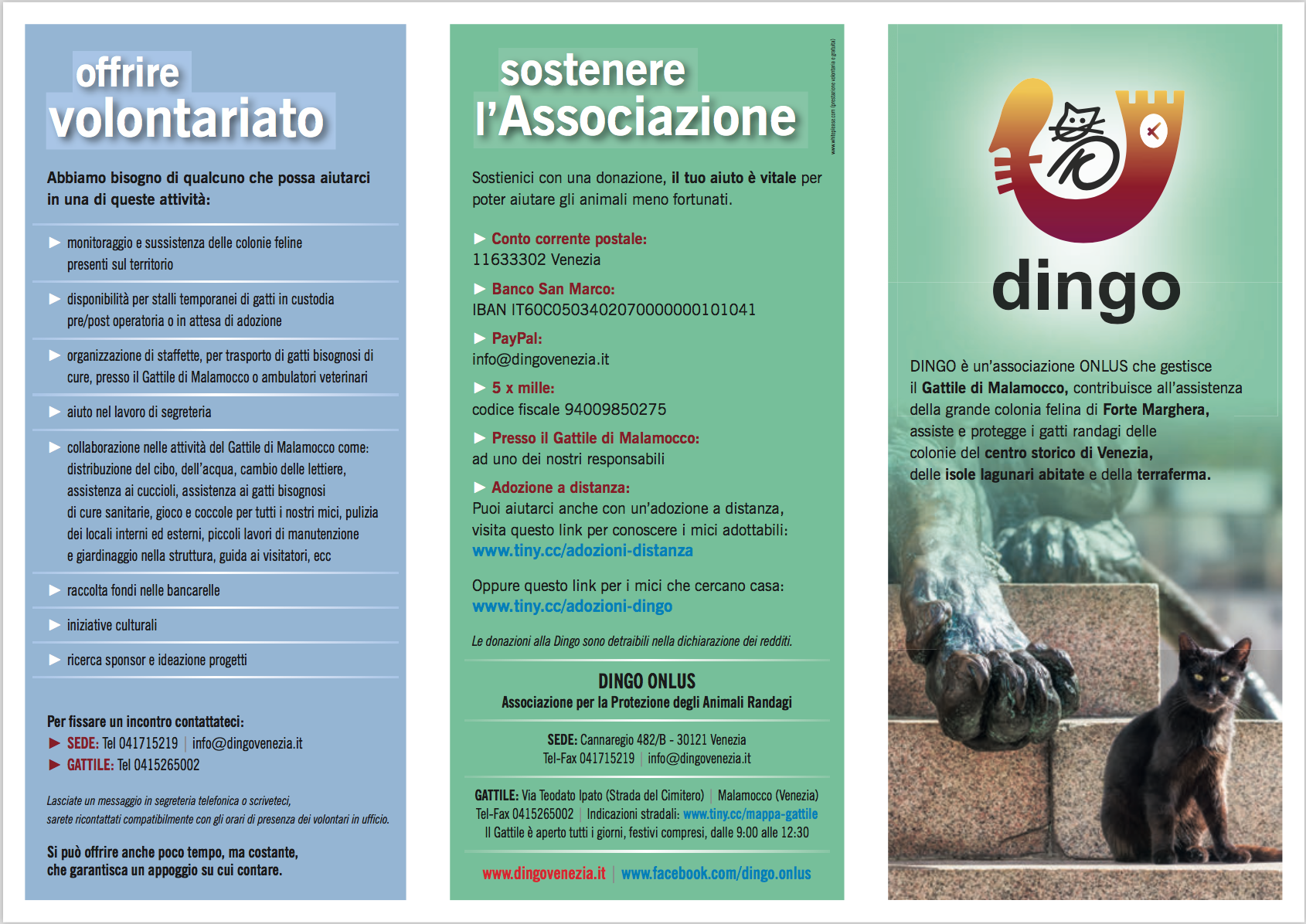 Comunicazione Dingo Venezia